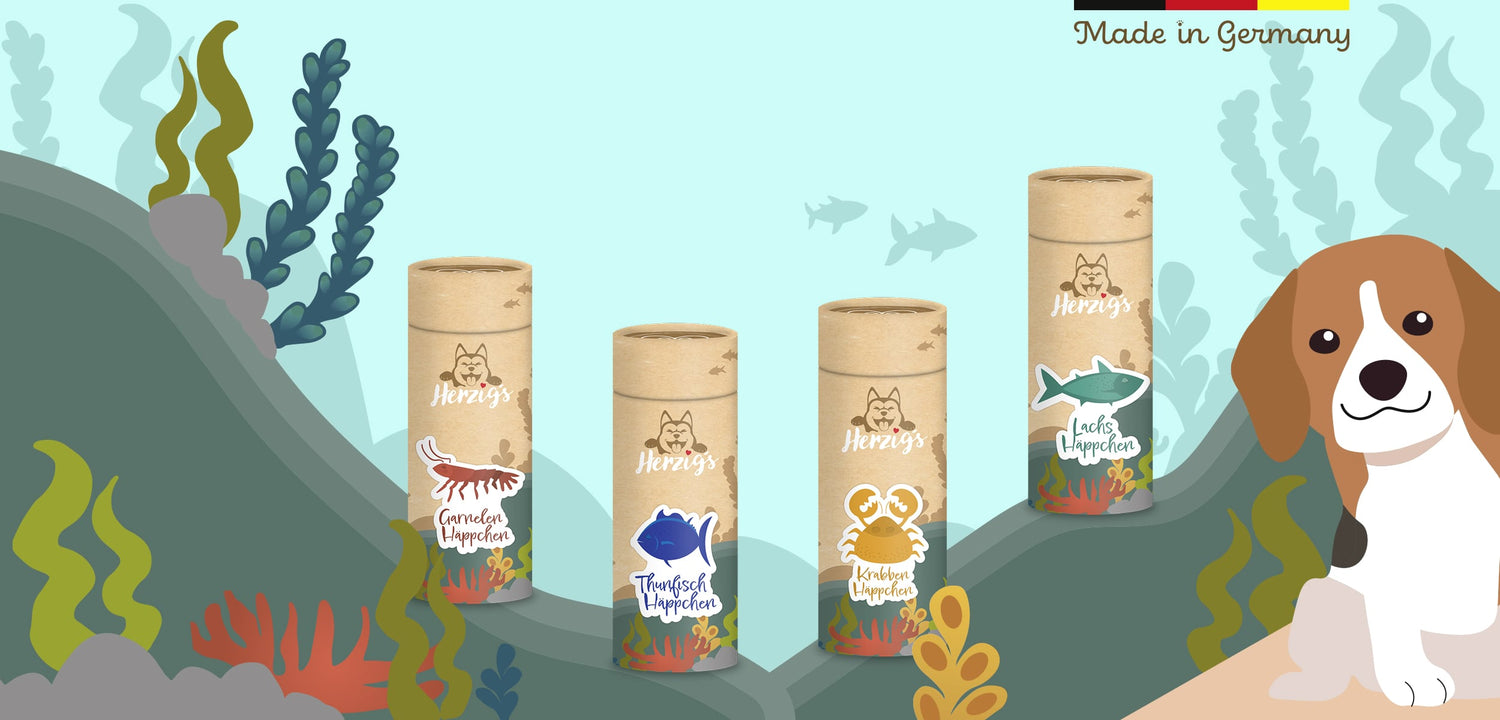 Bestes Hundefutter und bekömmlichstes Hundefutter in Deutschland - Herzigs Petfood Hundehäppchen