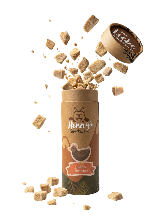 Hühnerbrust Häppchen