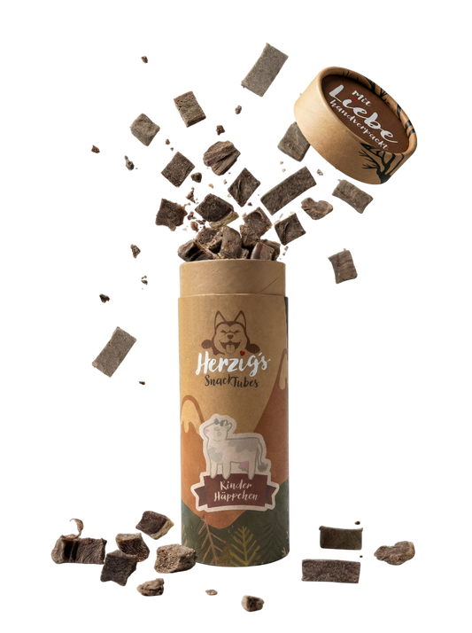 Rinderfleisch Häppchen