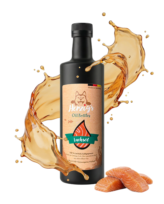 BARFTube Angebot BUNDLE II